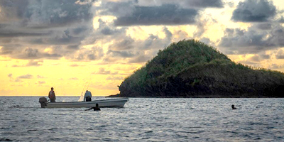 How nature boosts mental health