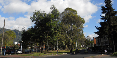 Promoting Healthy Organizations Through Urban Nature: Psychological and Physiological Effects in Healthcare Workers